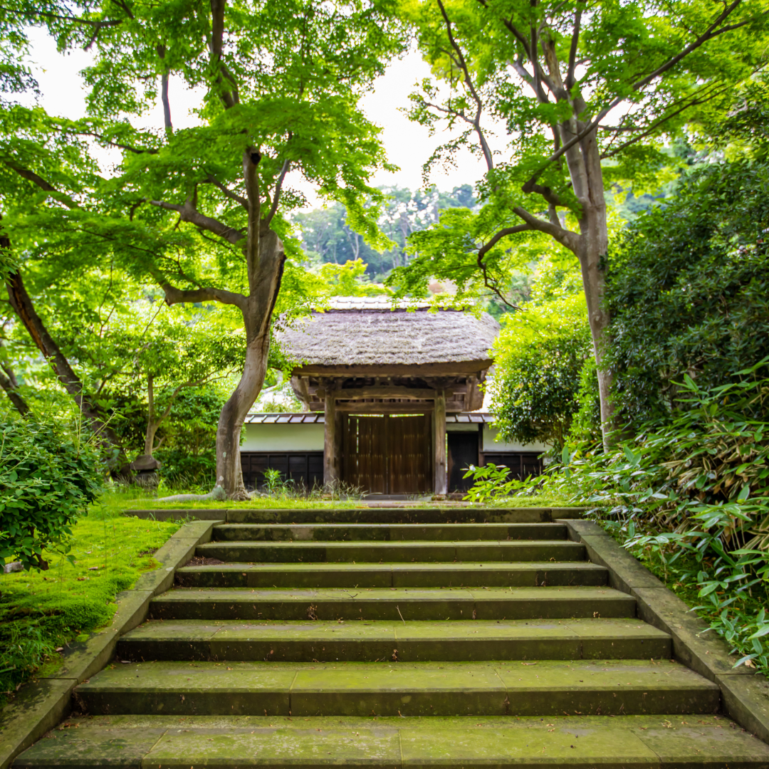 鎌倉　ココロに聞く