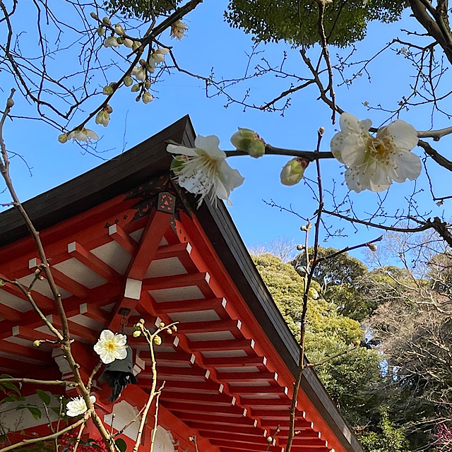 受験生へエール