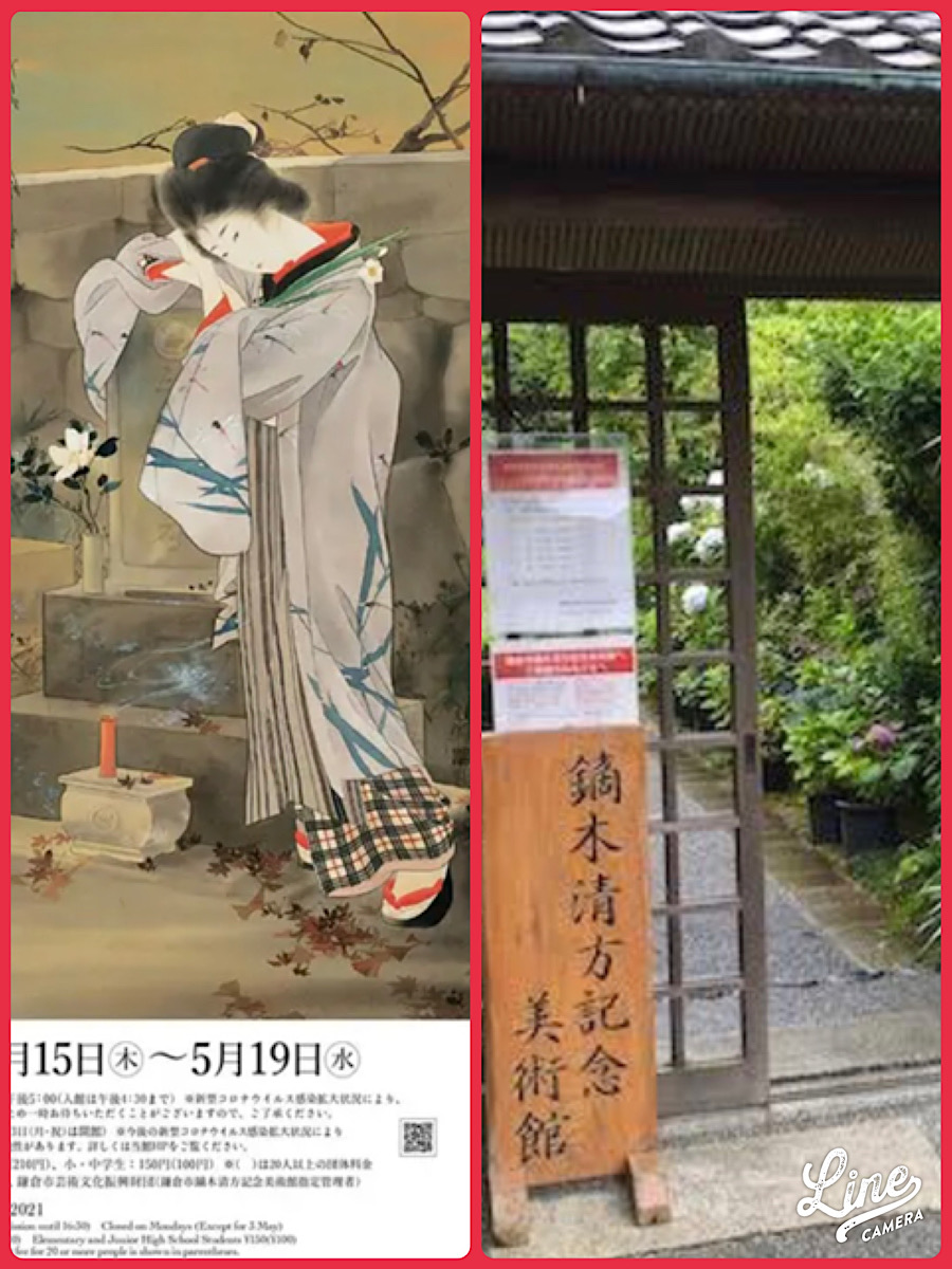 小町のコマチ②