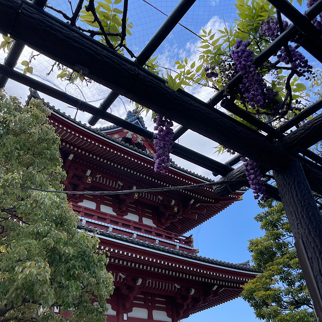 雅(みやび)な浅草