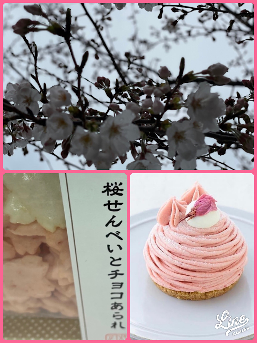 サクラサク