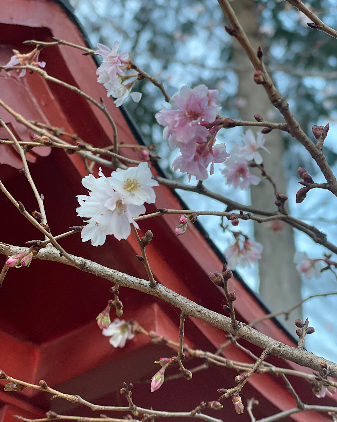 2月をむかえ