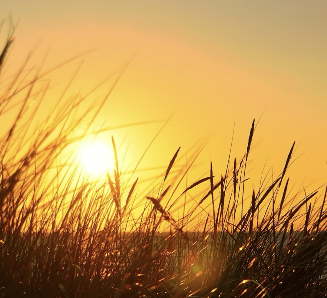 かまくら 行く秋