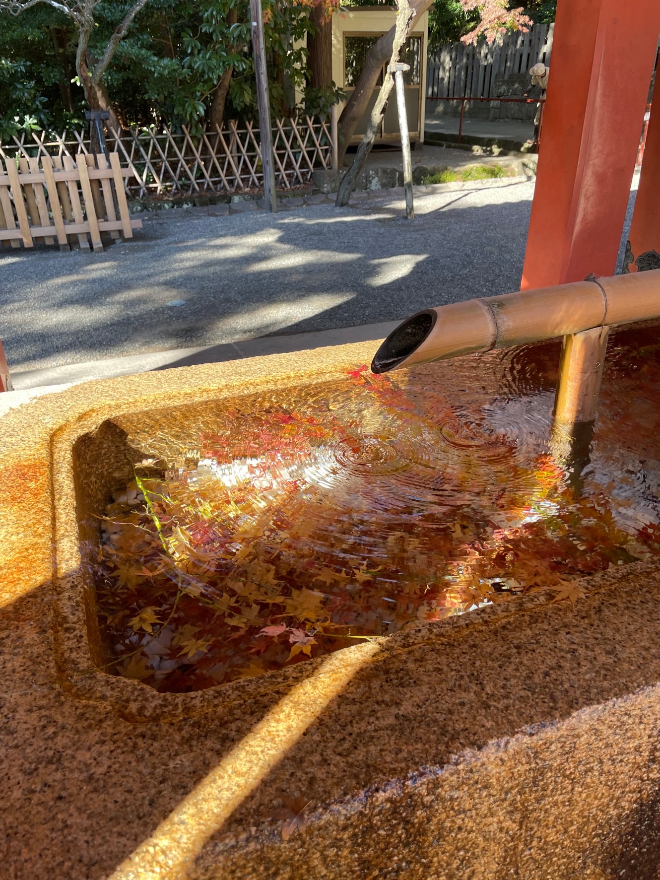 鶴岡八幡宮の花手水(はなちょうず)