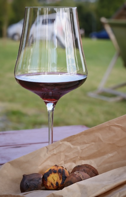 News letter マルコより