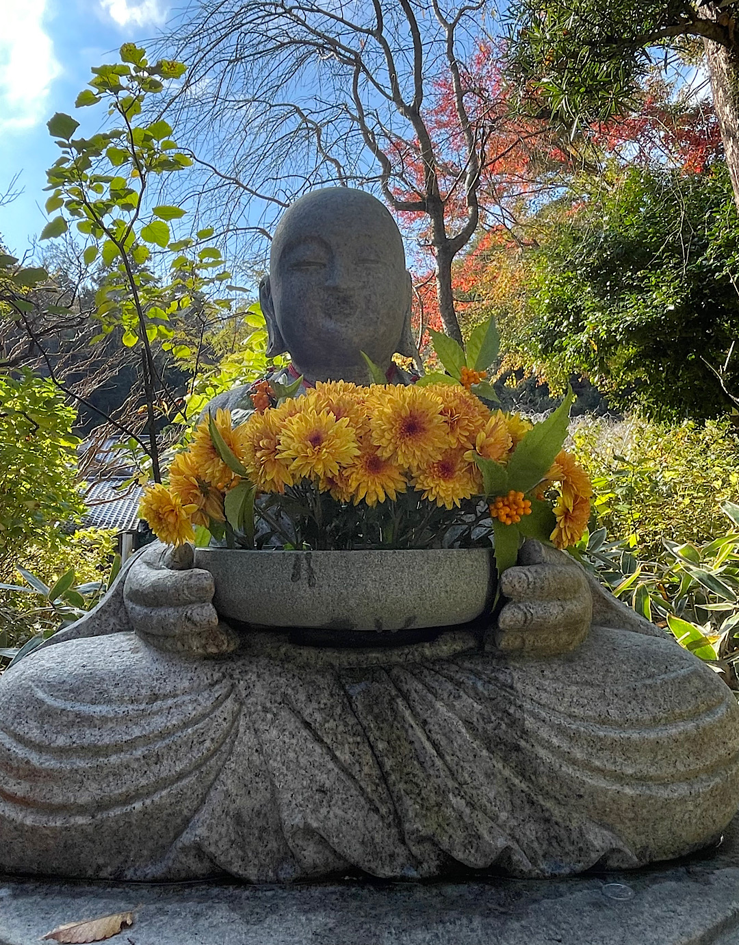 鎌倉から笑顔