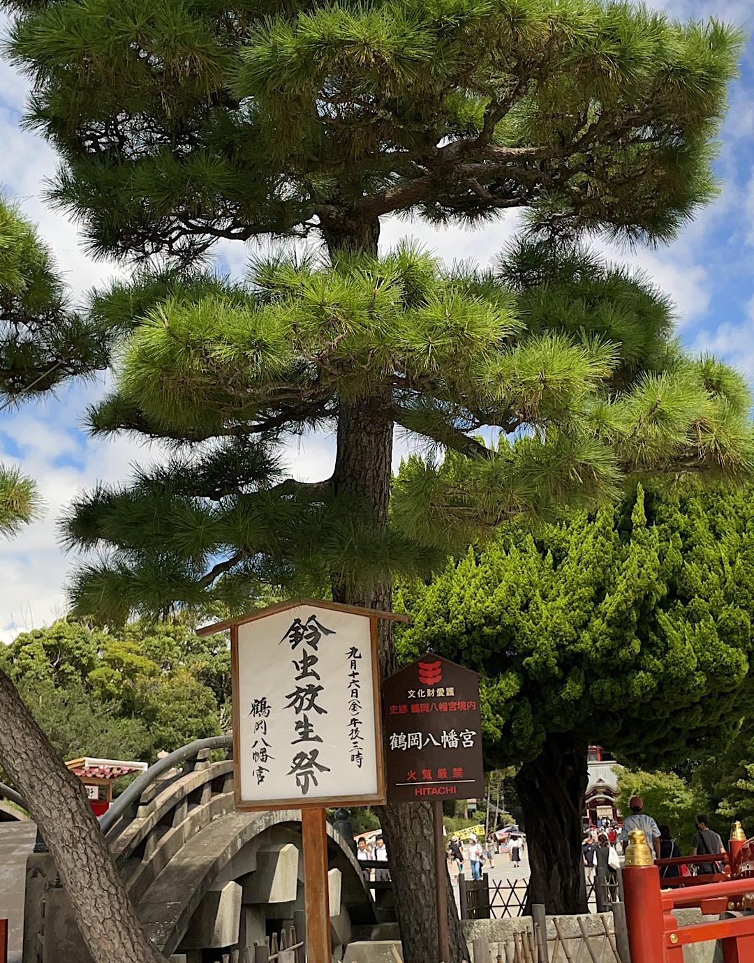 鎌倉　鶴岡八幡宮