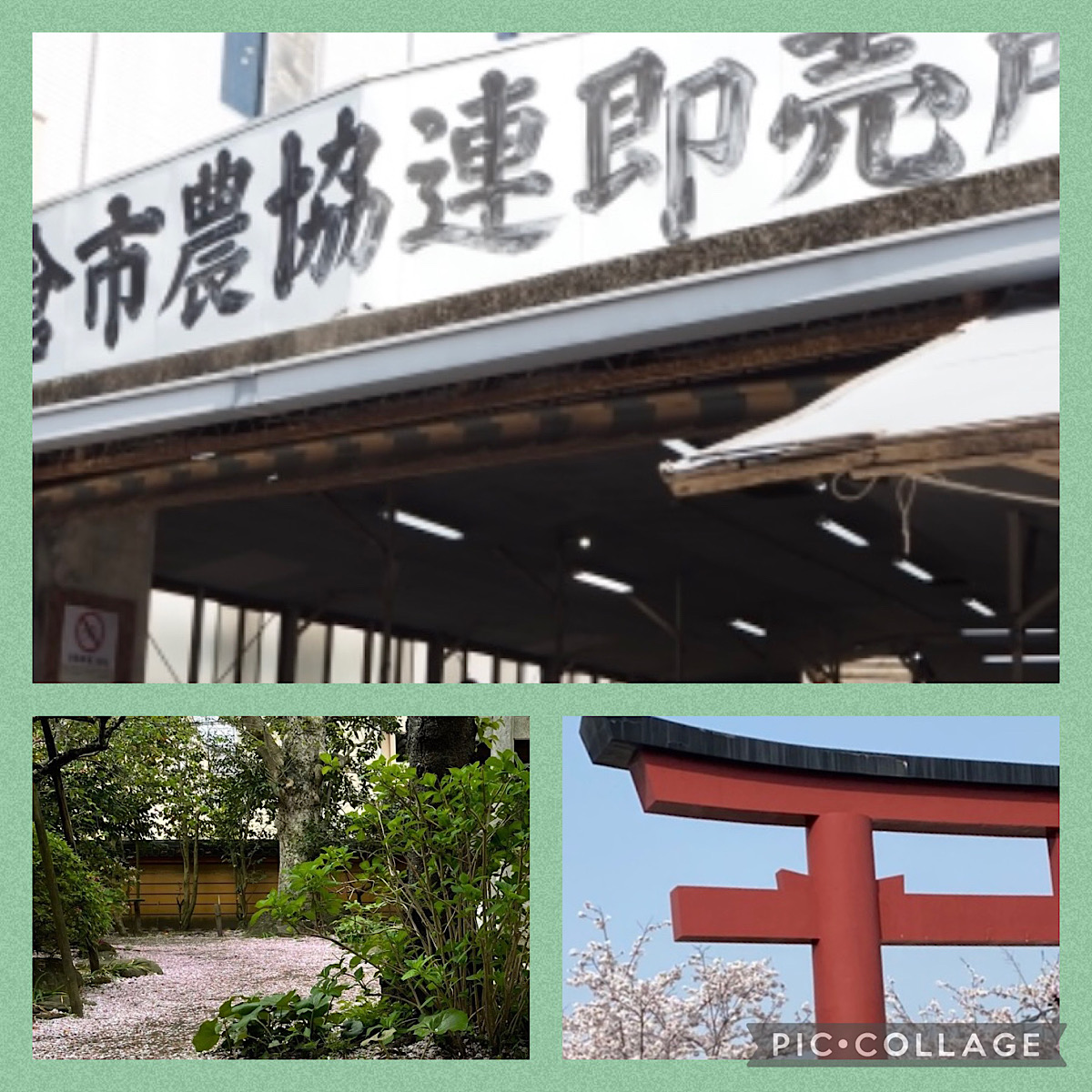 花雨のあとで