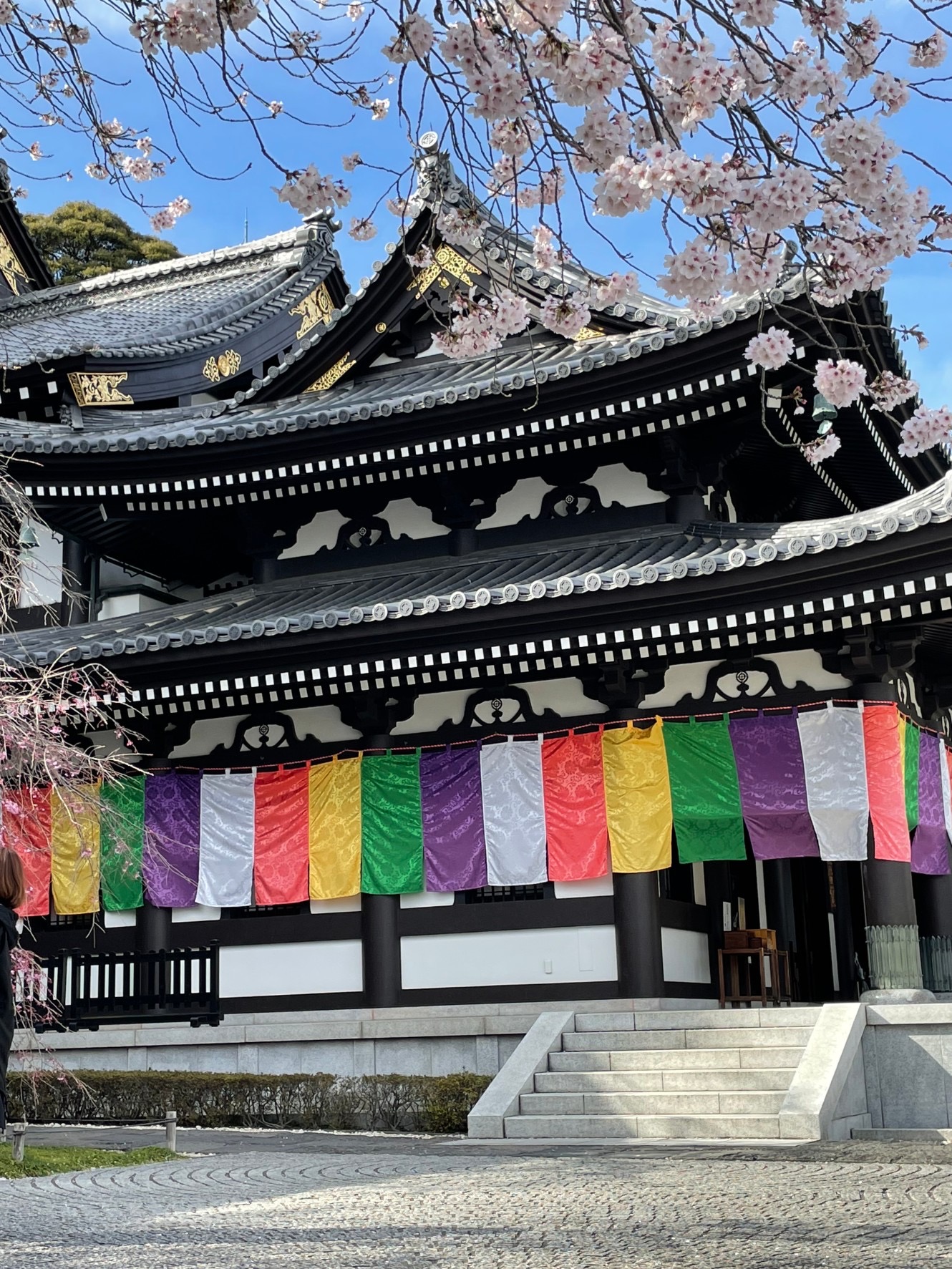 鎌倉　花まつり