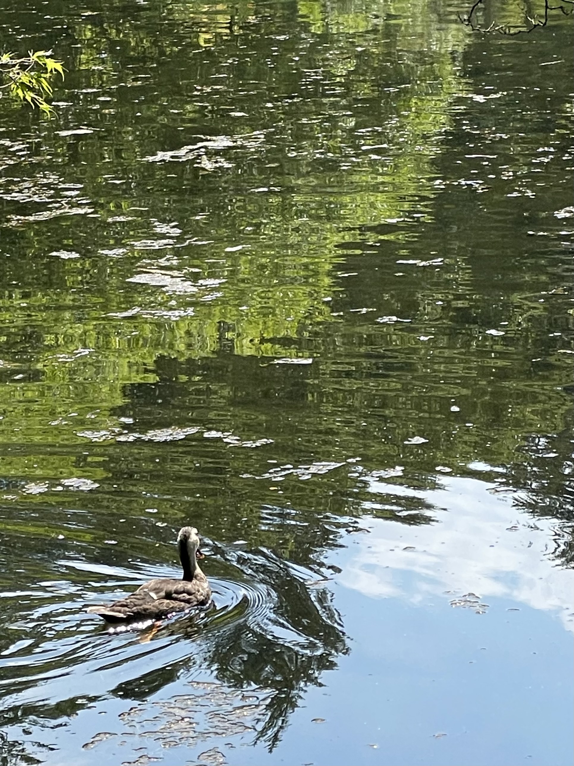 軽井沢　秋