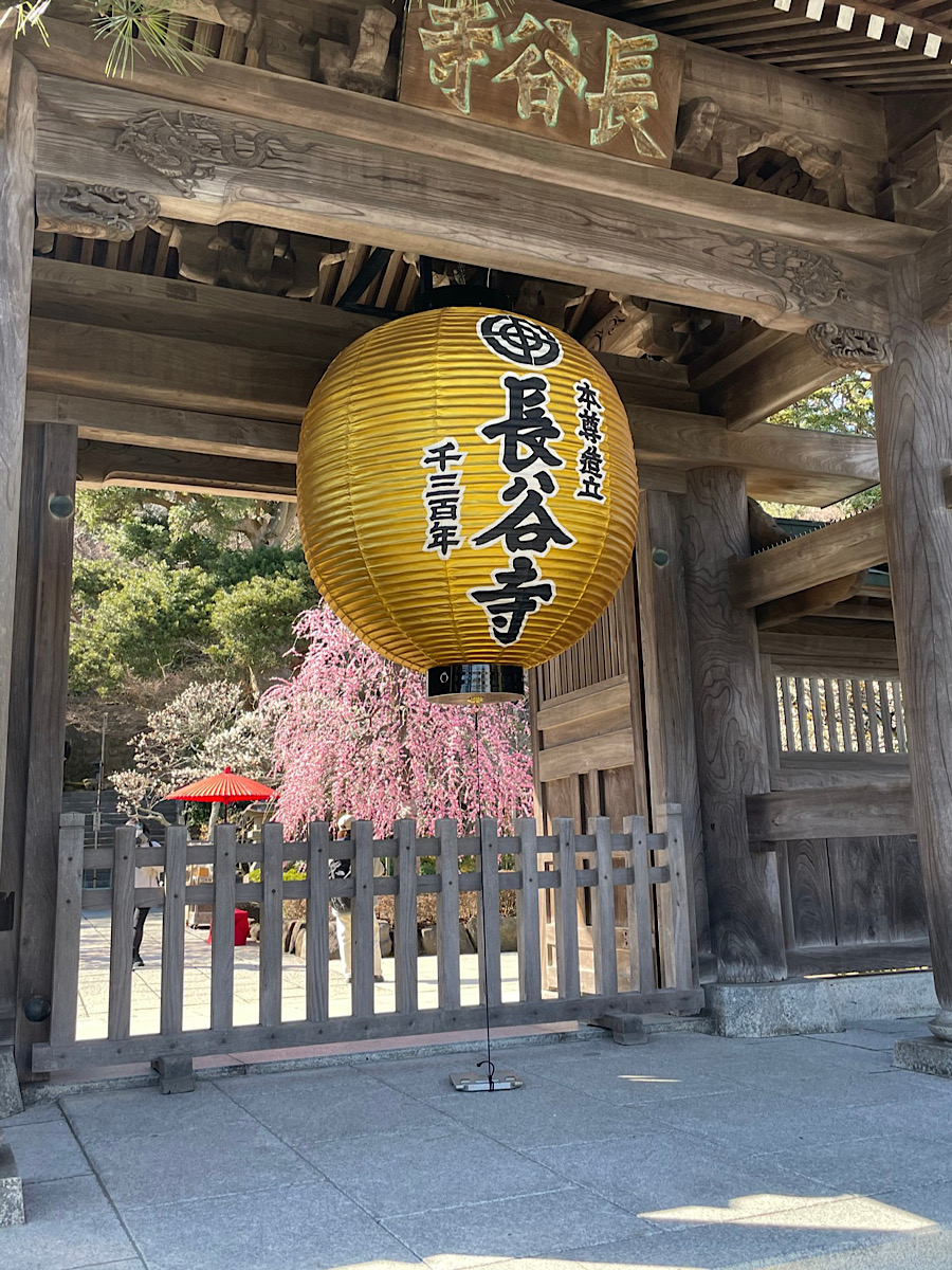 弥生をむかえて
