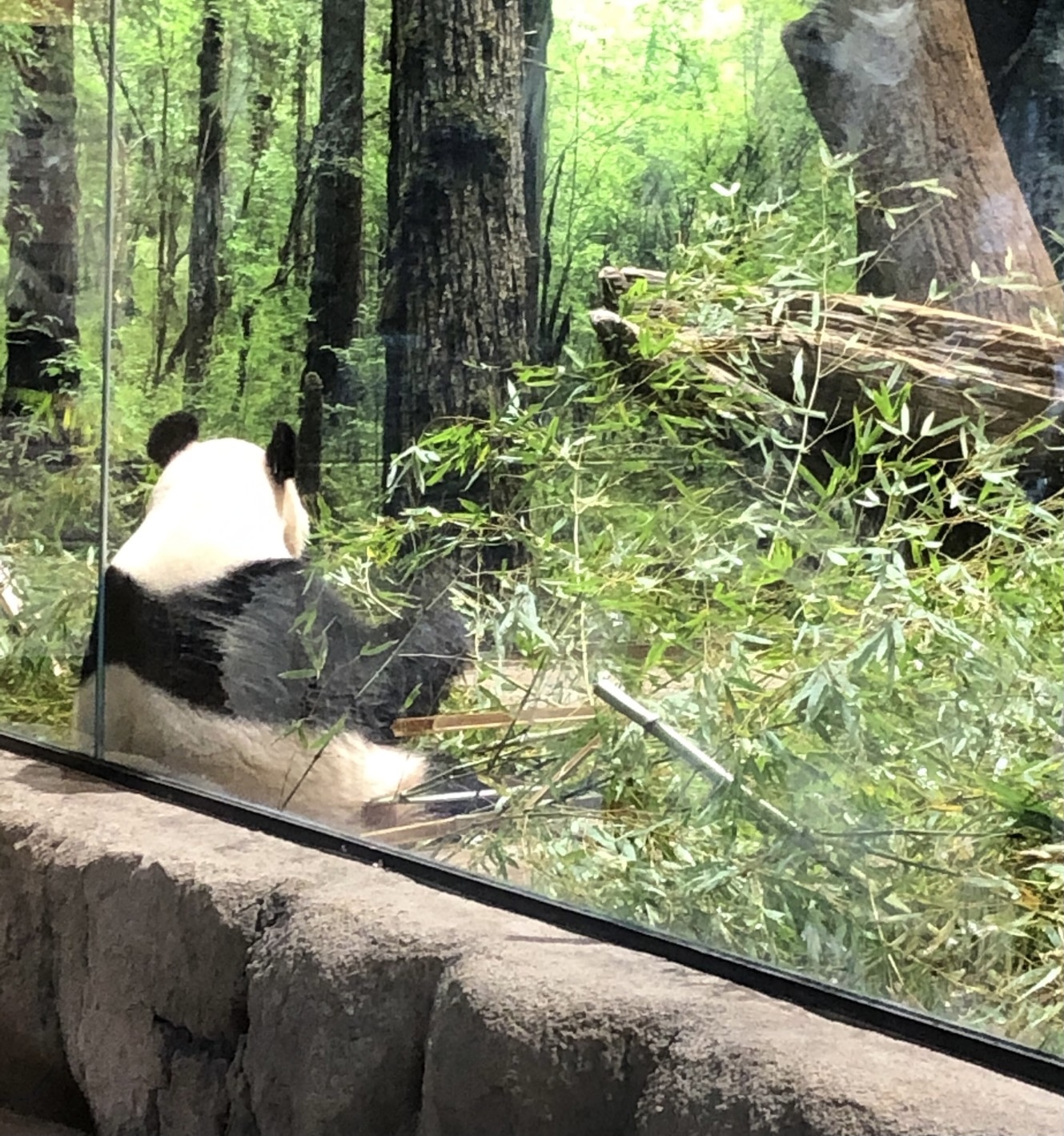 ちょっと嬉しい♪