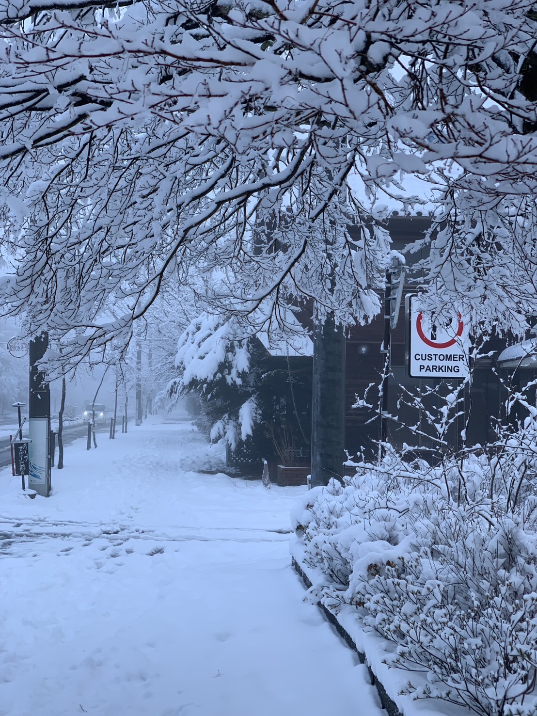 軽井沢　忘れ雪