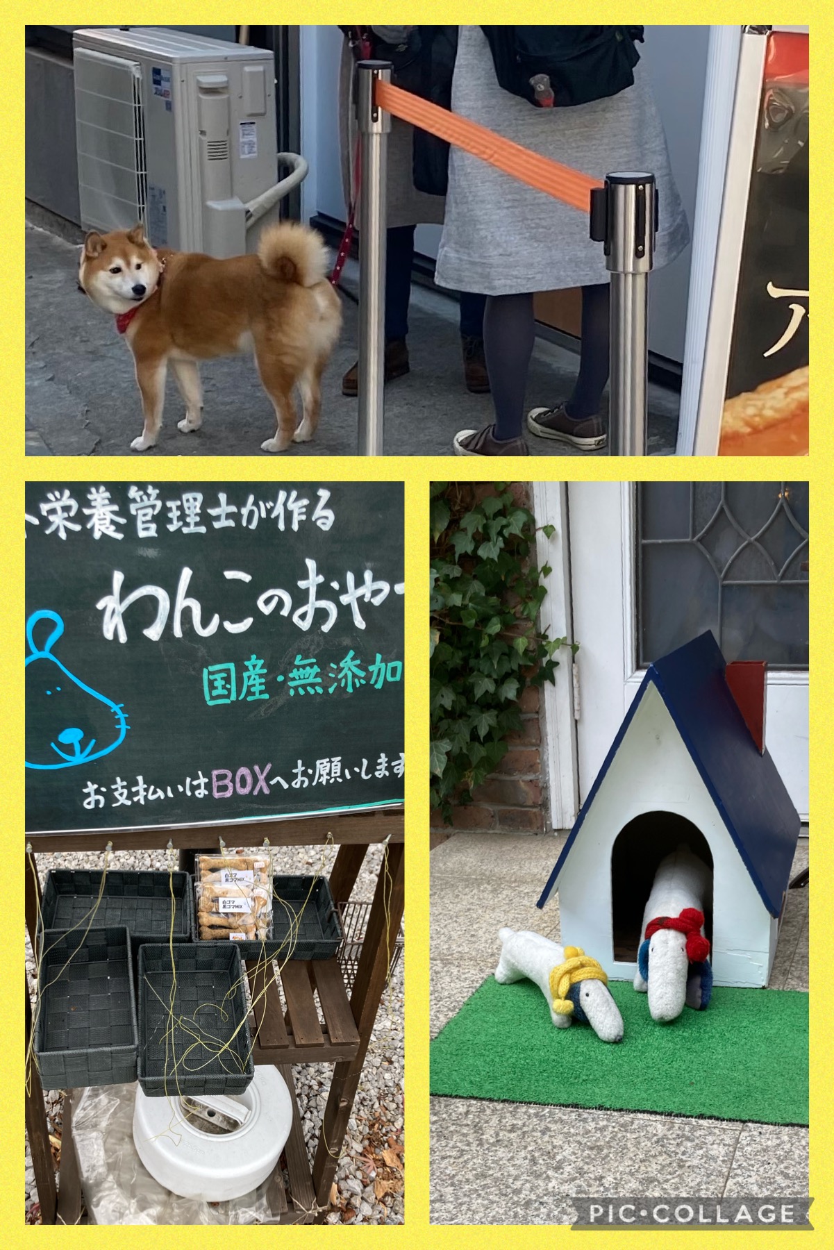 いやされる