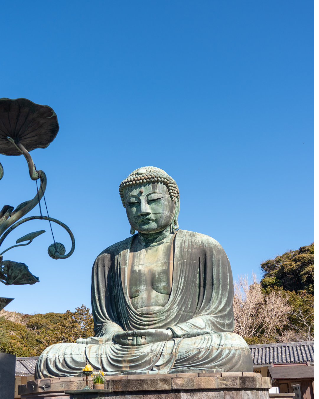 鎌倉365葉月