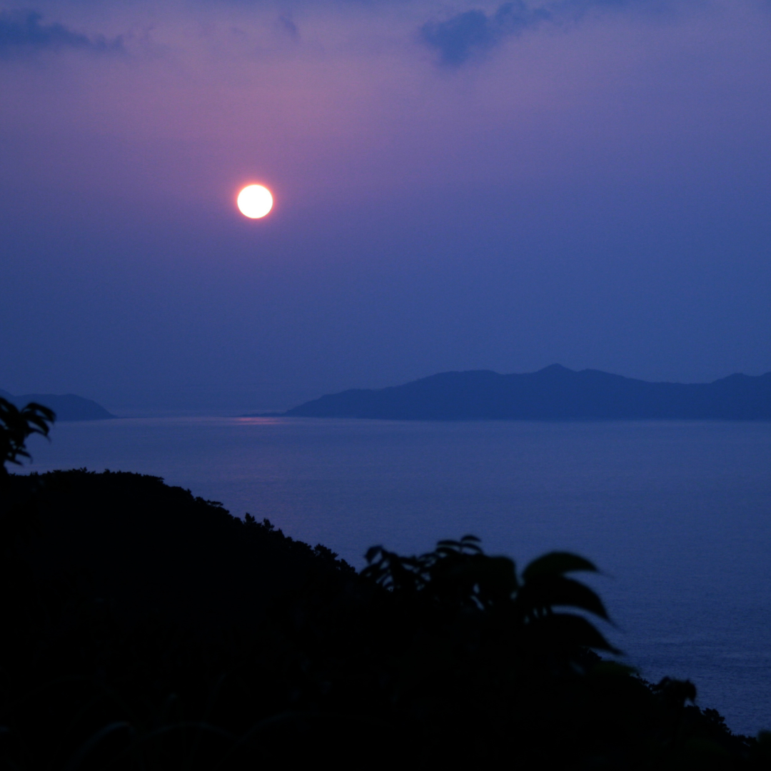オキナワ 十三夜