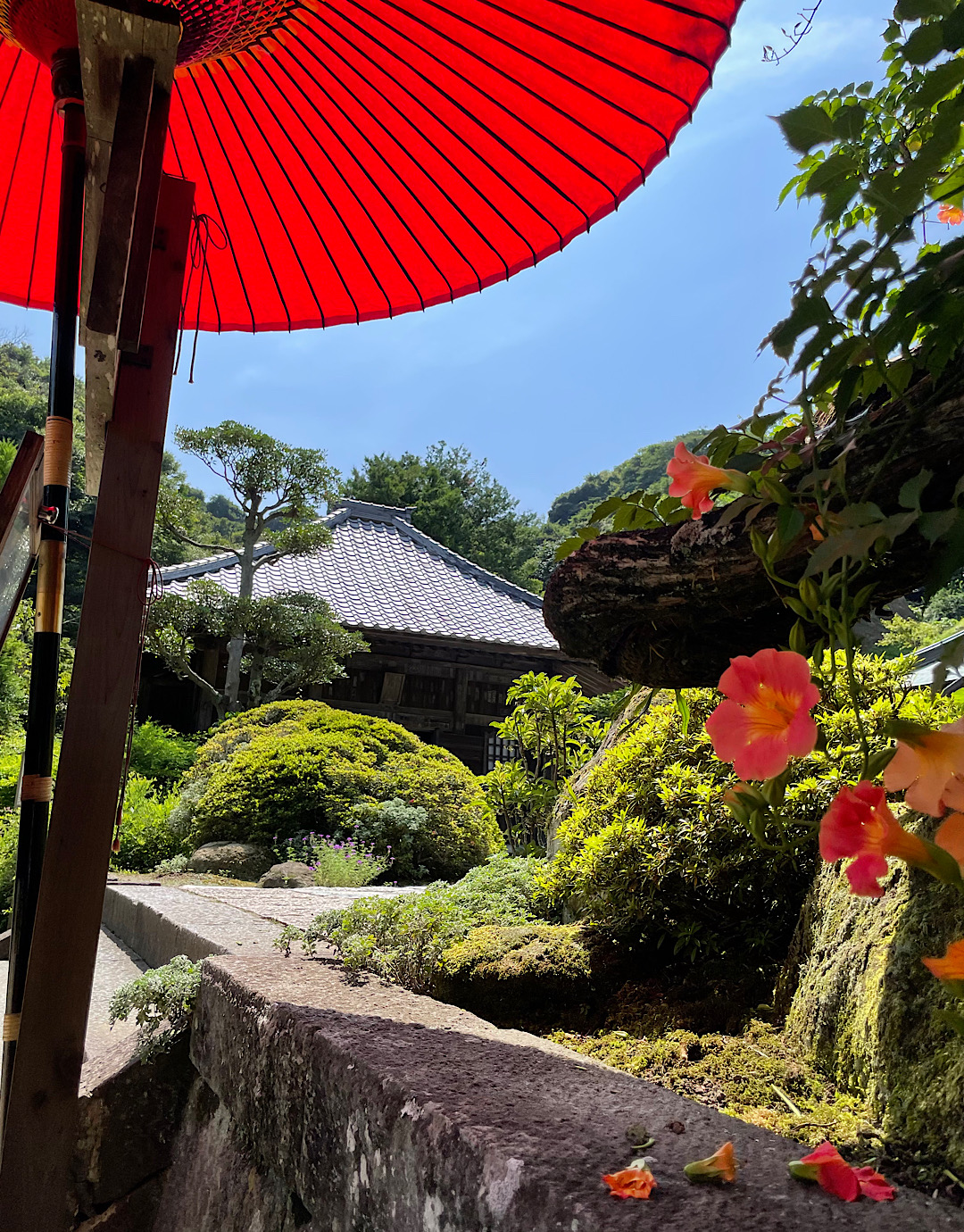 夏に負けない　鎌倉