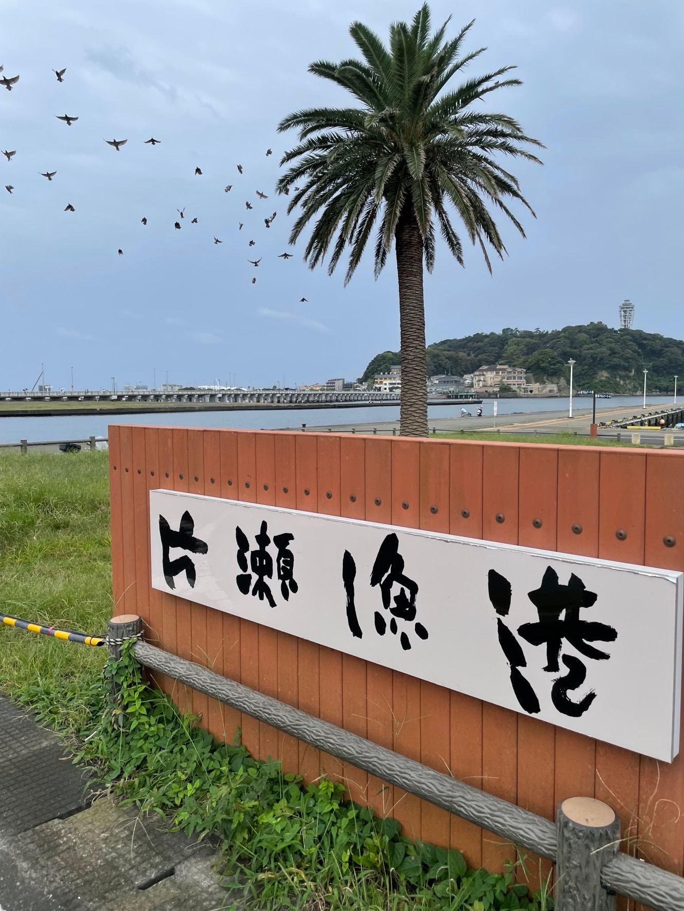江ノ島　片瀬漁港