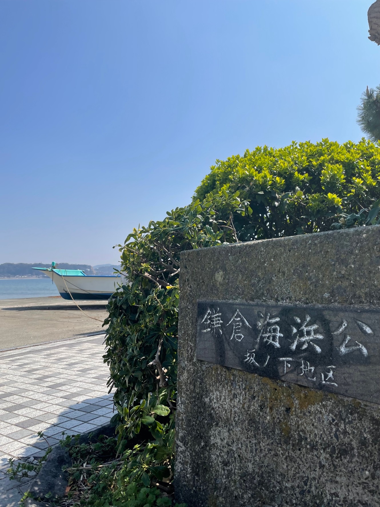 鎌倉海浜公園