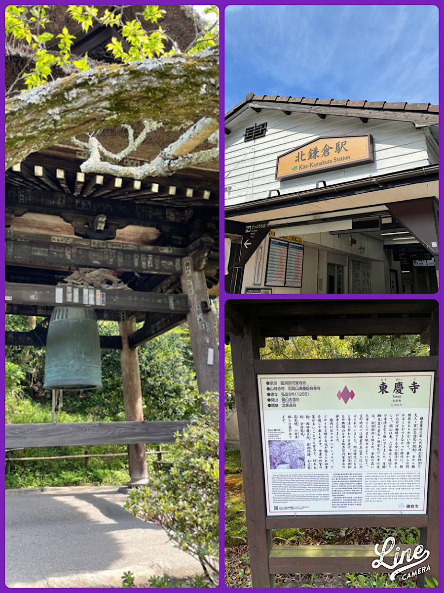 花だより