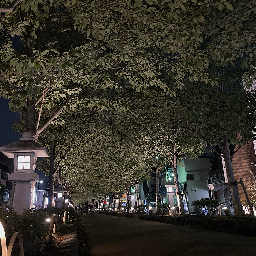 鎌倉夜んぽ