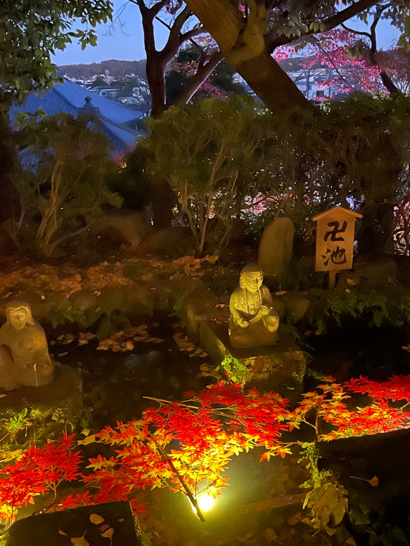紅葉ご案内③