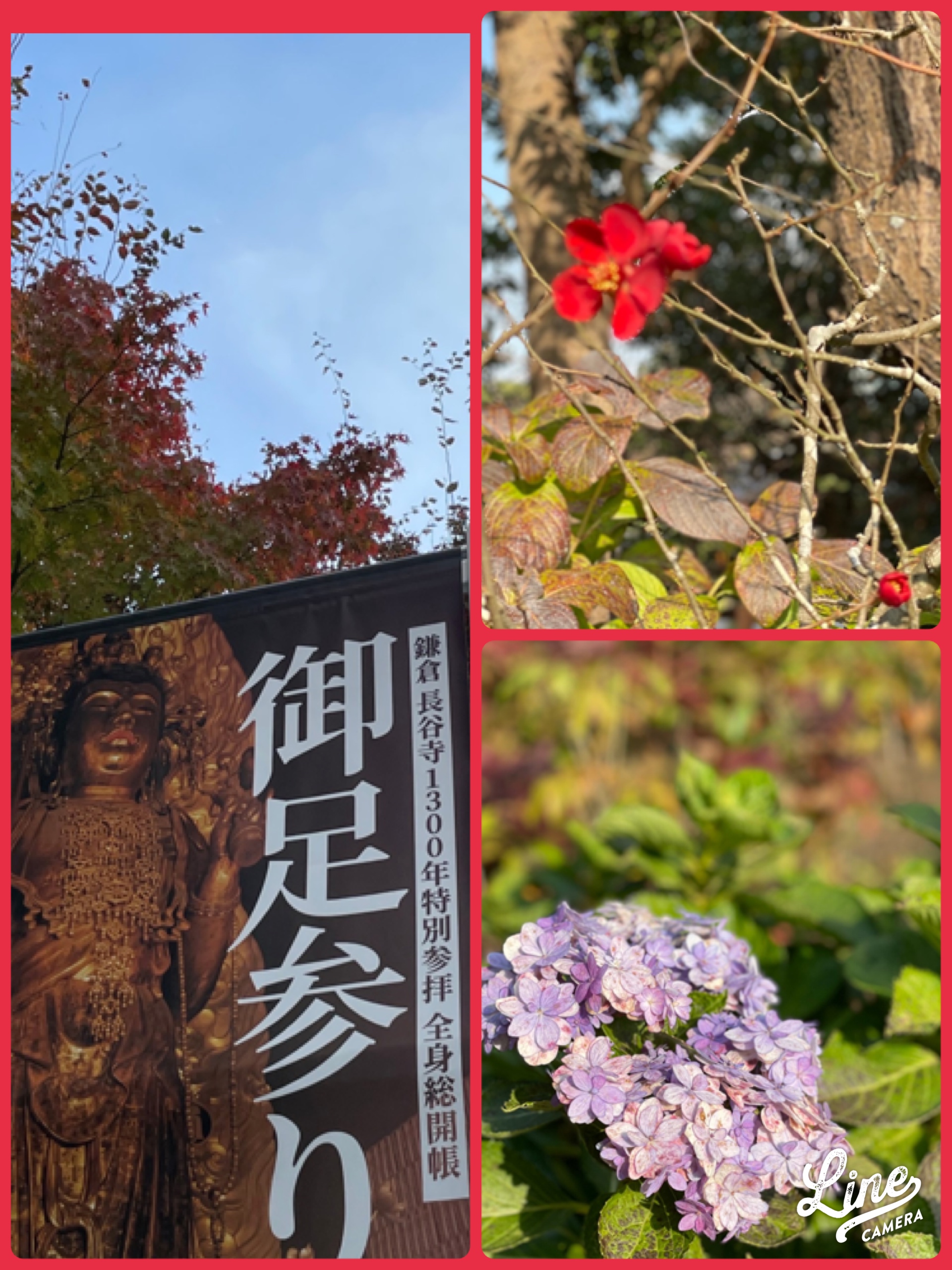 紅葉ご案内①長谷寺