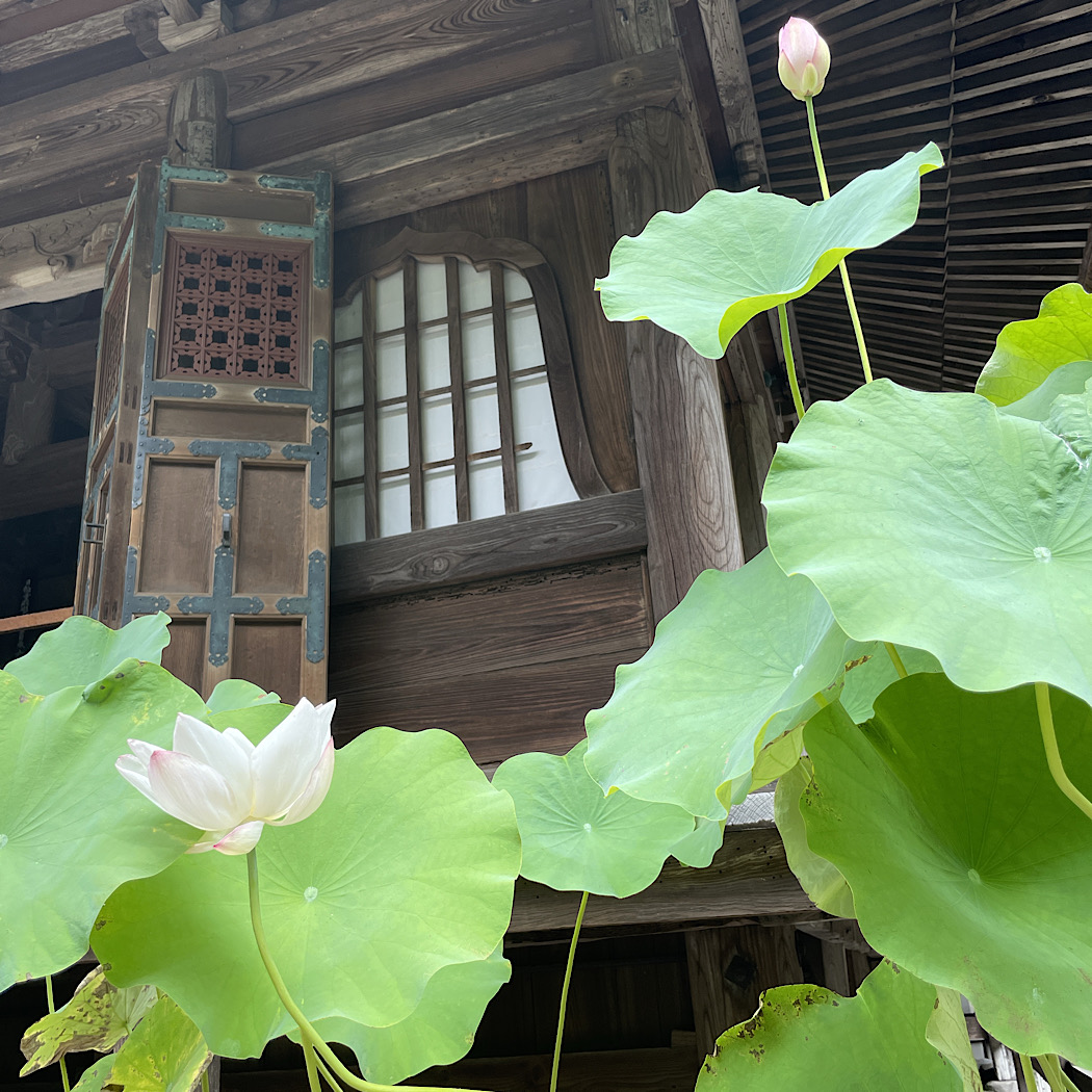 雨やどり　北鎌倉