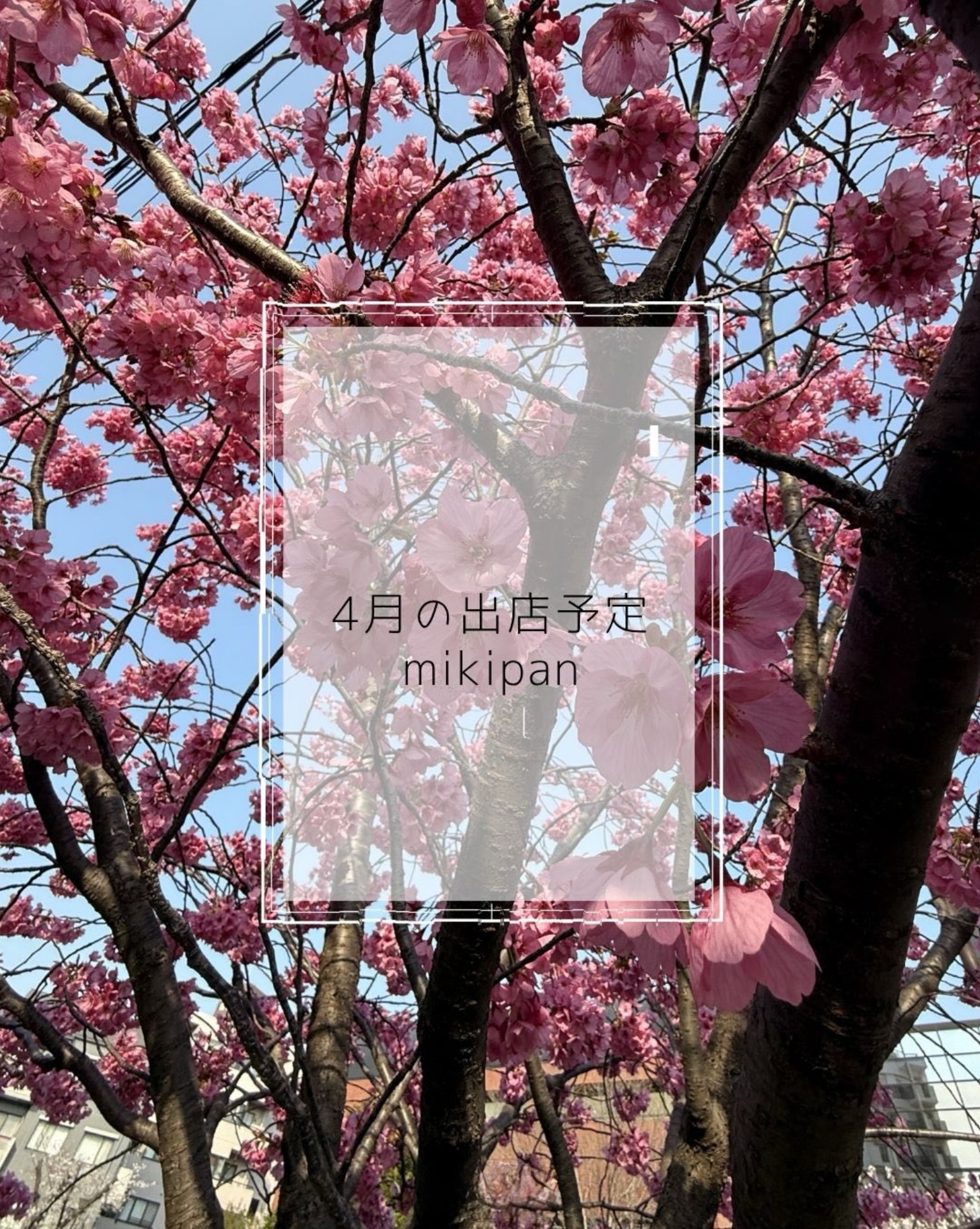 4月の出店スケジュール