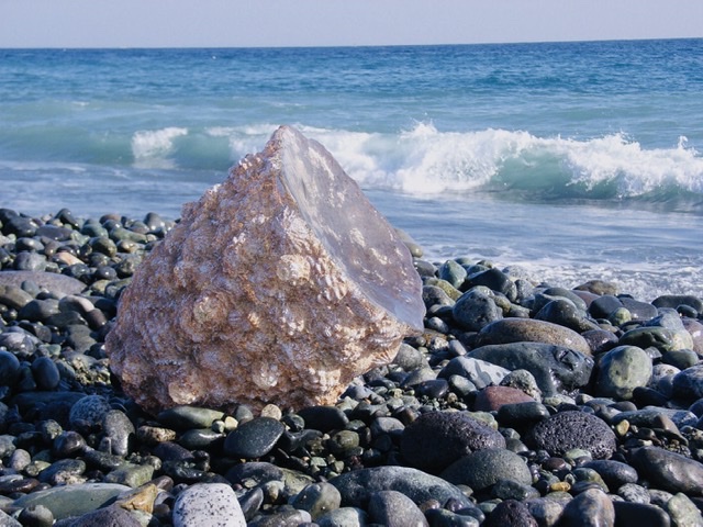 海辺に漂着