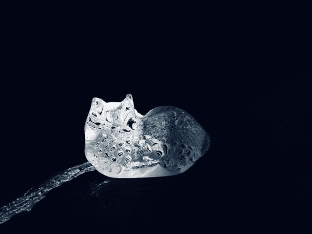 香箱坐り -catloaf-