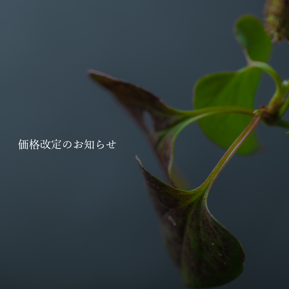 価格改定のお知らせ