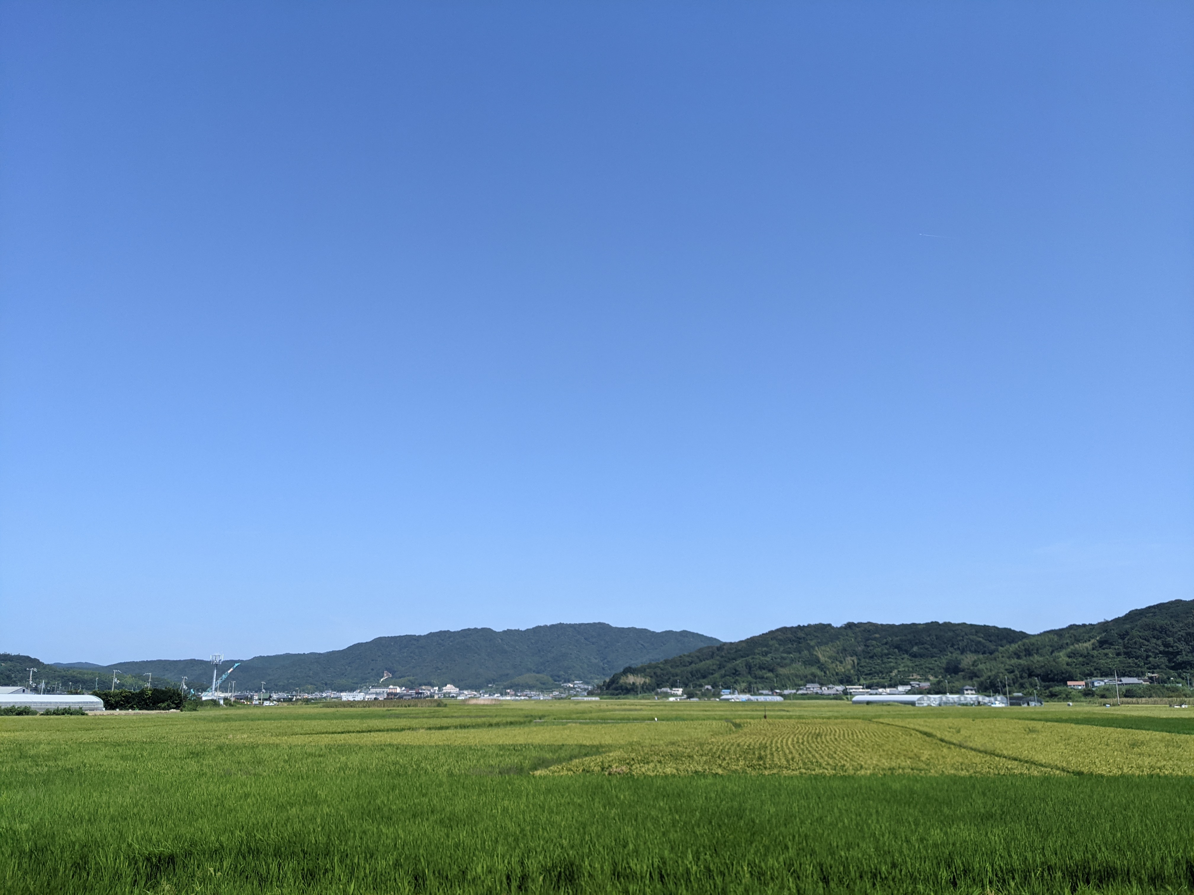 夏まだもう少し！