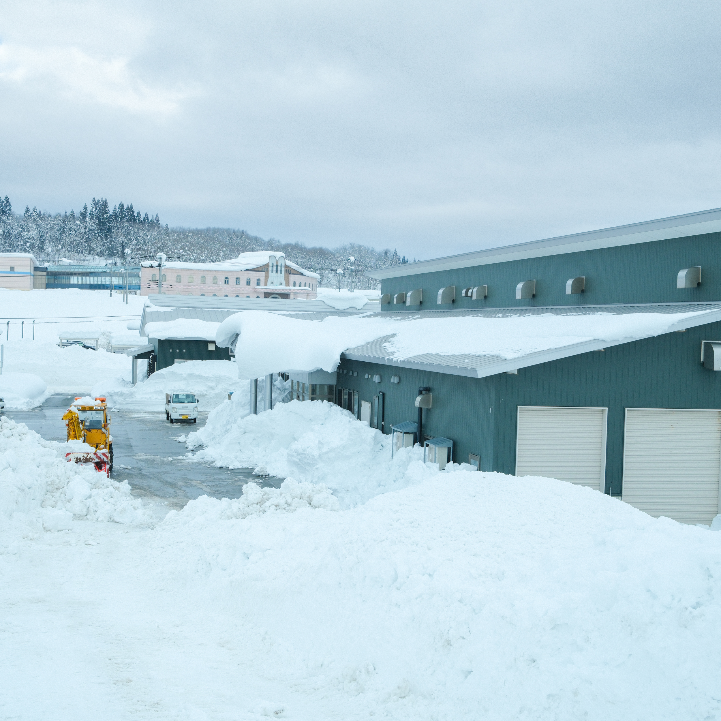 雪が降って、溶けて、染みて、届くまで