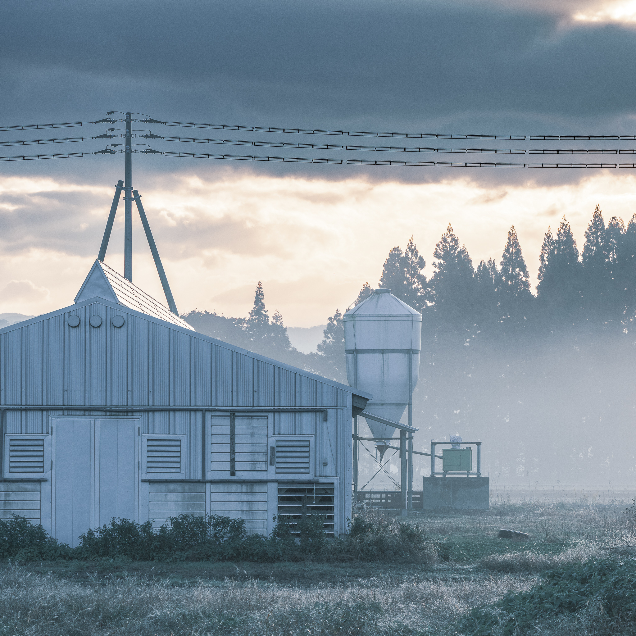 眠っていた写真に命を吹き込む