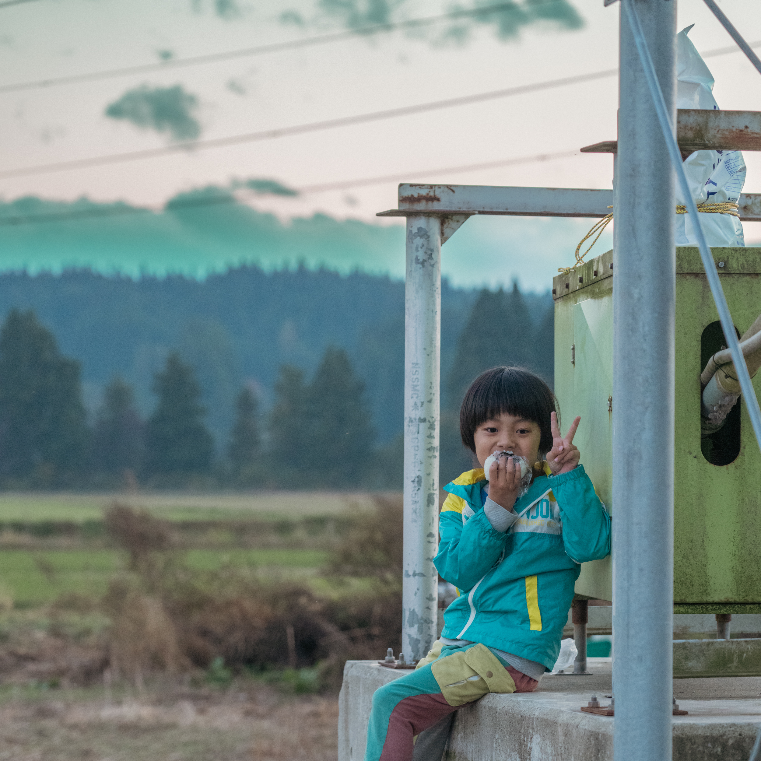 【年内発送】ご注文は25日まで