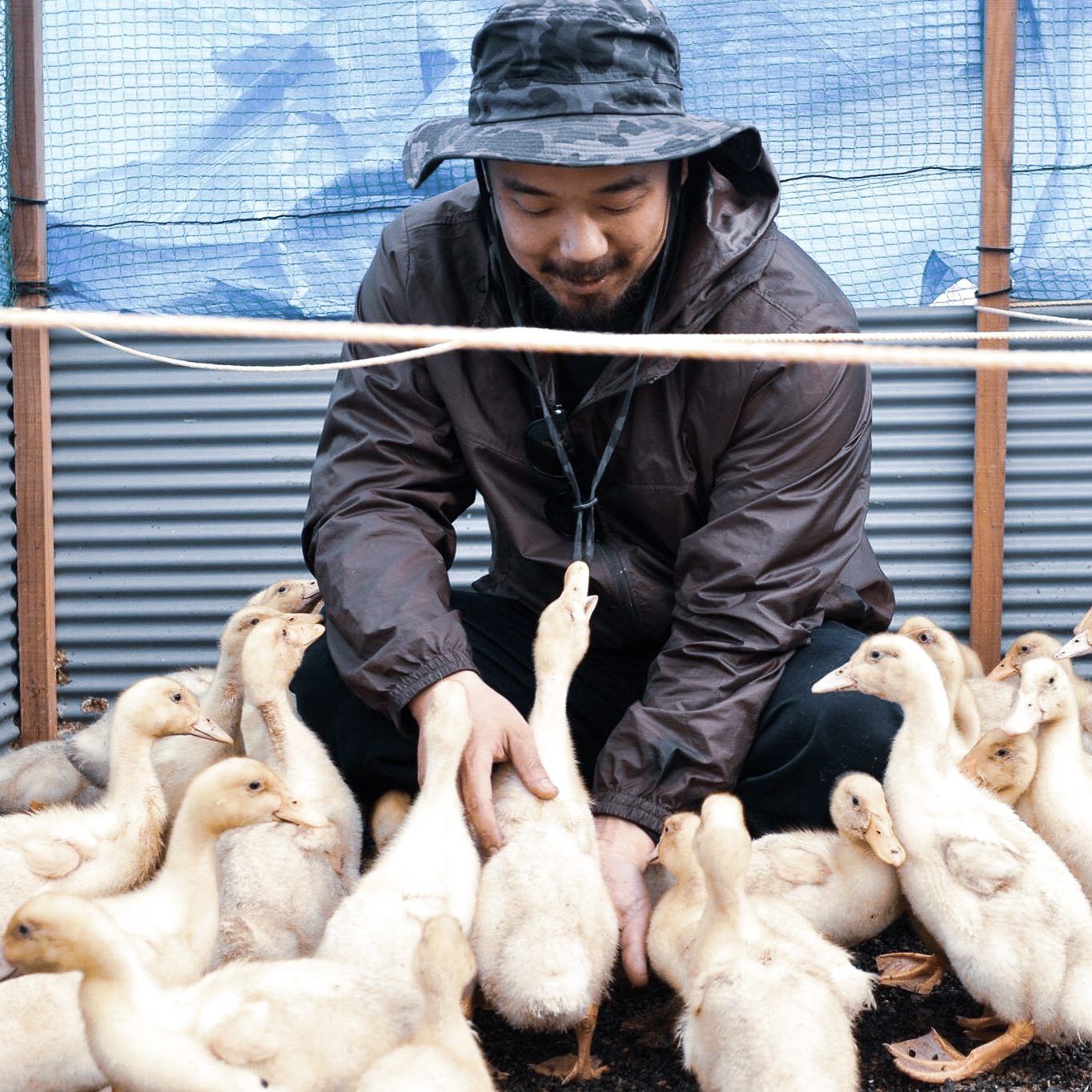 NHK『うまいッ!』再放送決定!最上鴨の魅力を再びお届けします