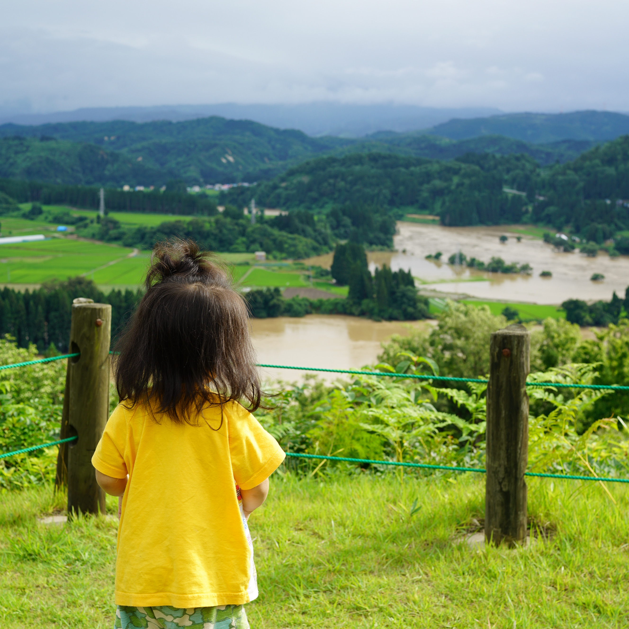 最上川・銅山川の氾濫