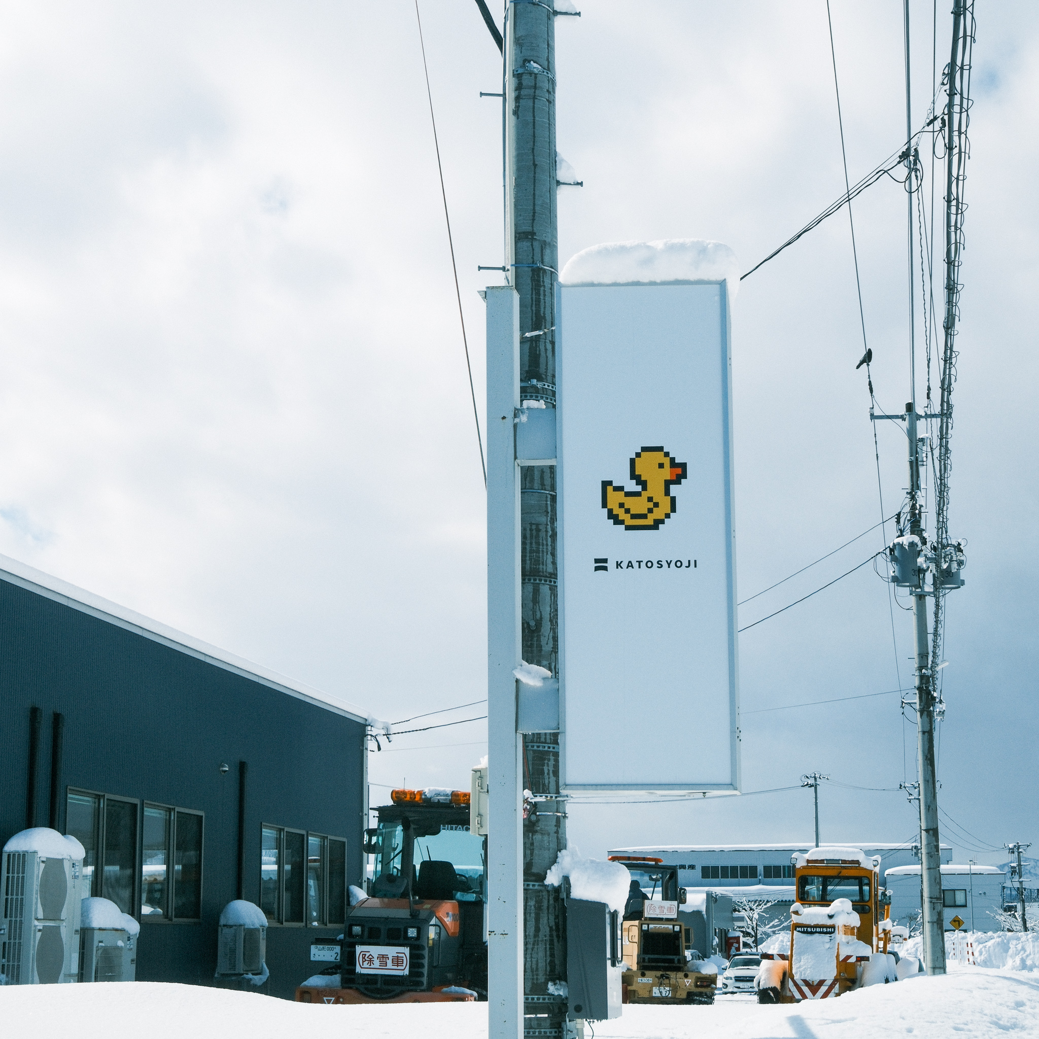 薬やワクチンに頼らない、私たちの鴨づくり