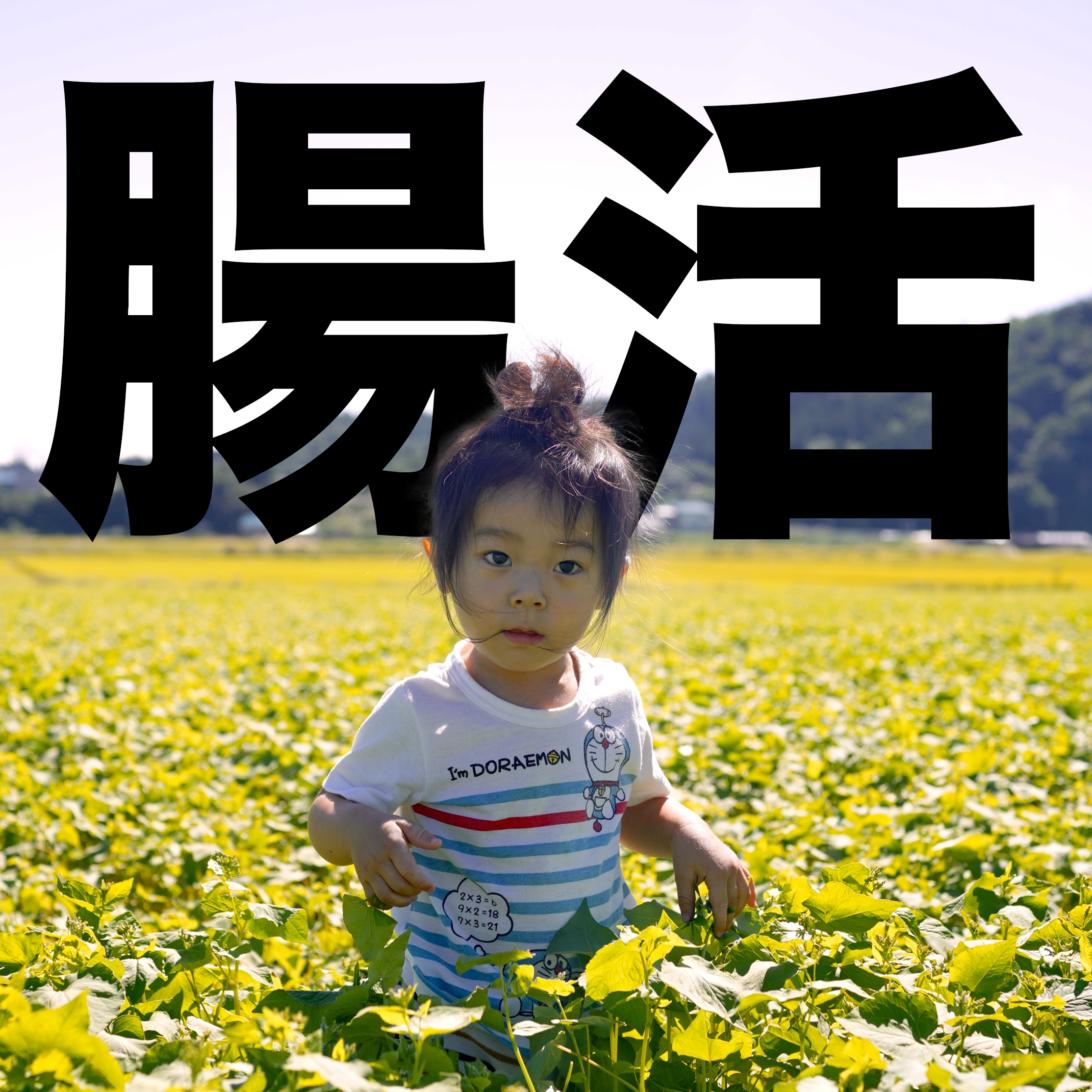 最上鴨はなぜ美味しい？脂の融点13.3℃の秘密を解明！