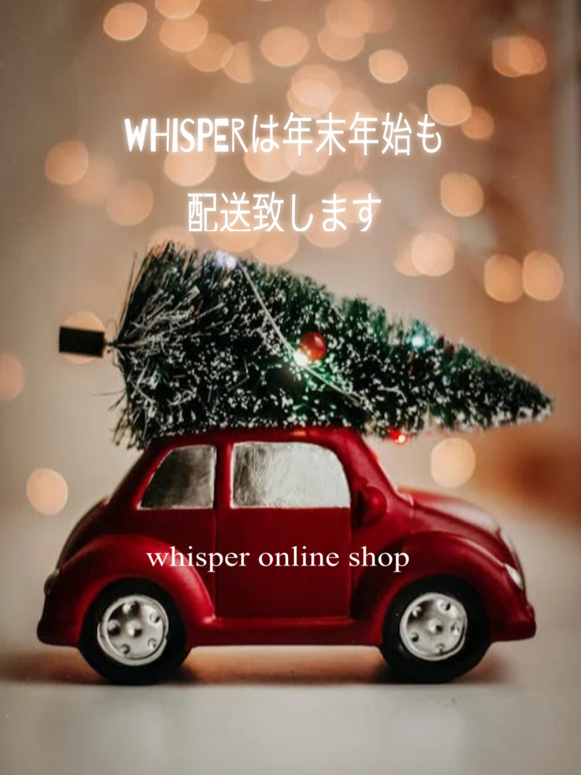 ⭐︎更に10%OFF📴クーポン🚩!!⭐︎