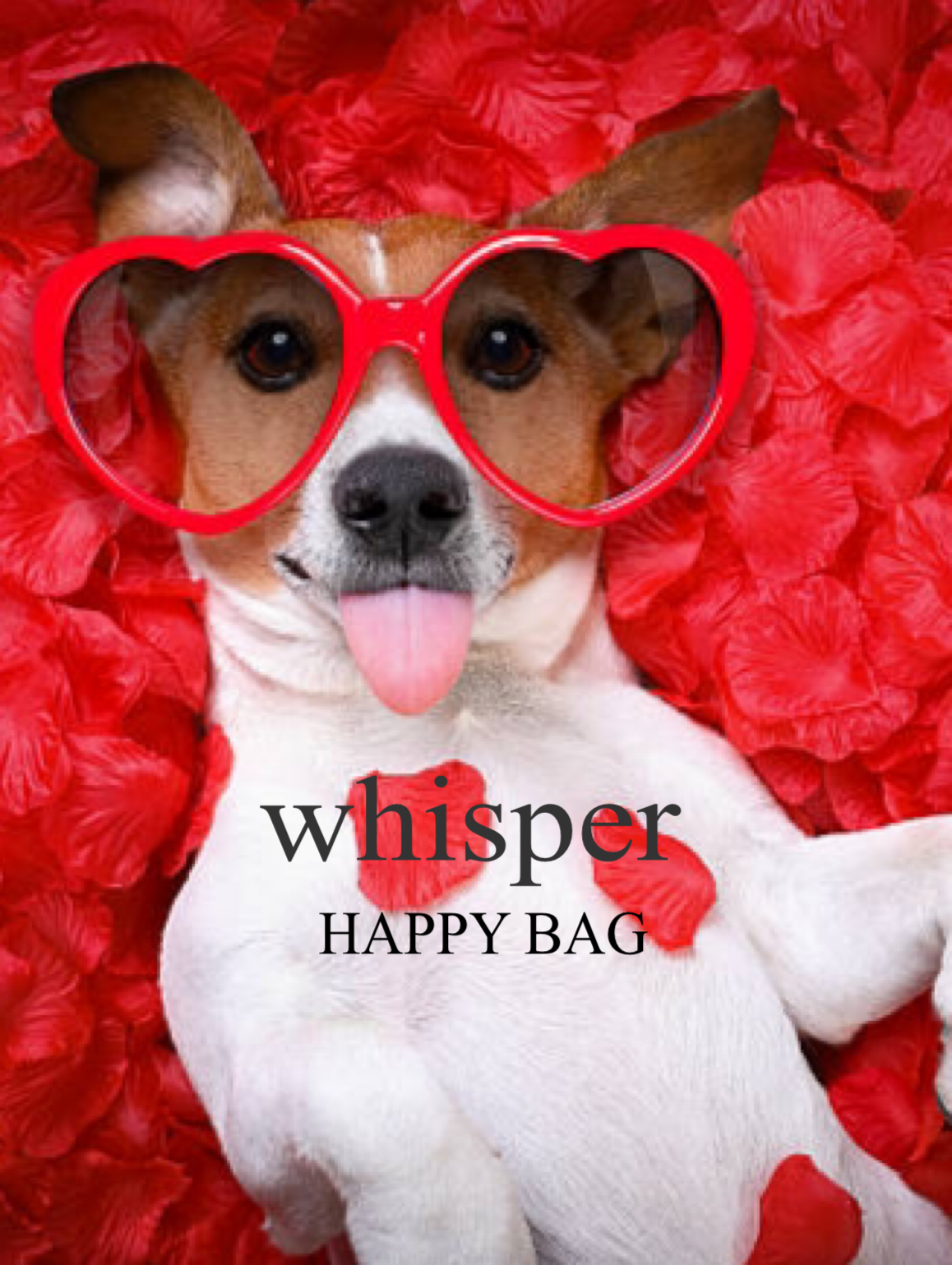 whisper豪華福袋🎁❣️❣️