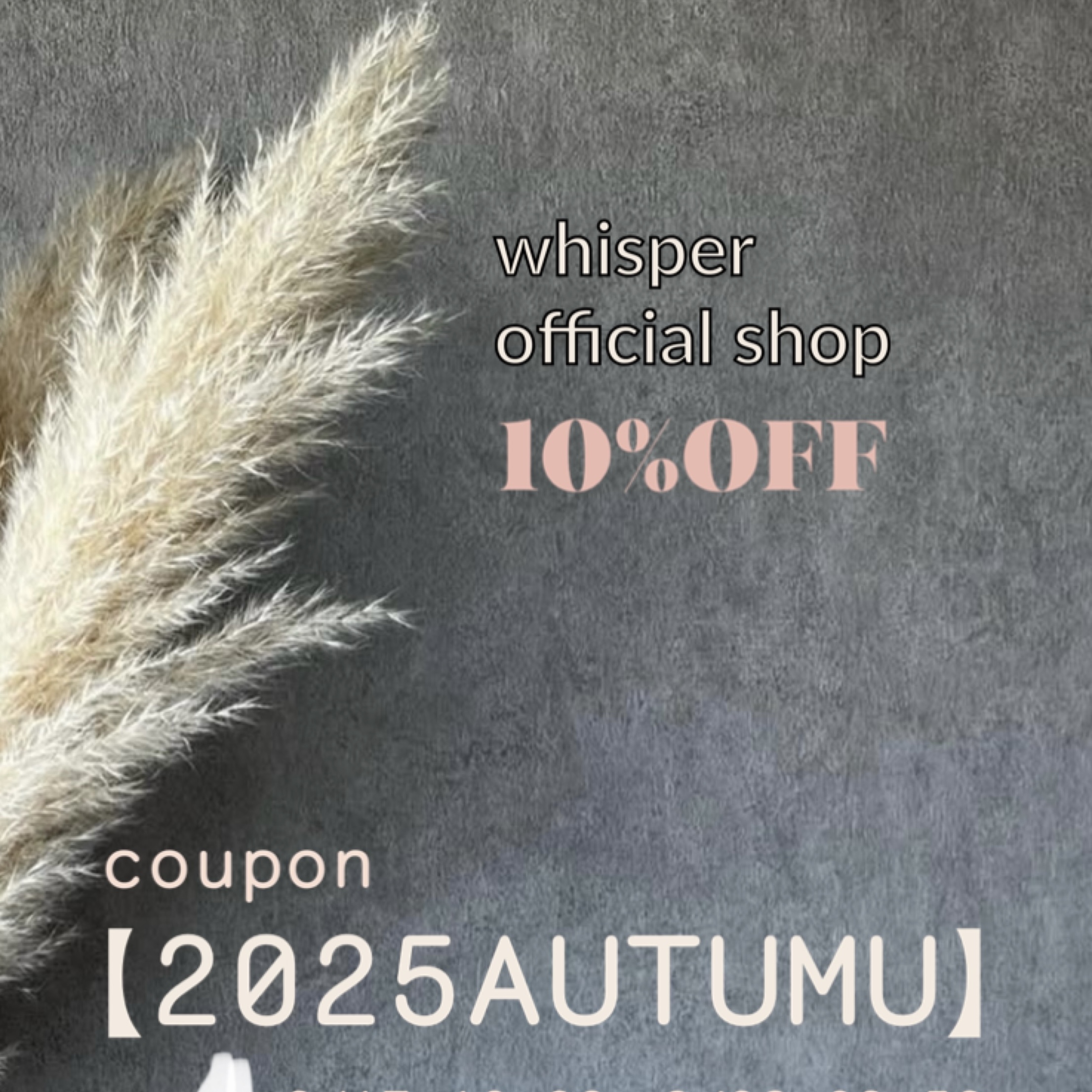 クーポン🎫ご利用で全品10%OFF‼️Autumn fair🍂