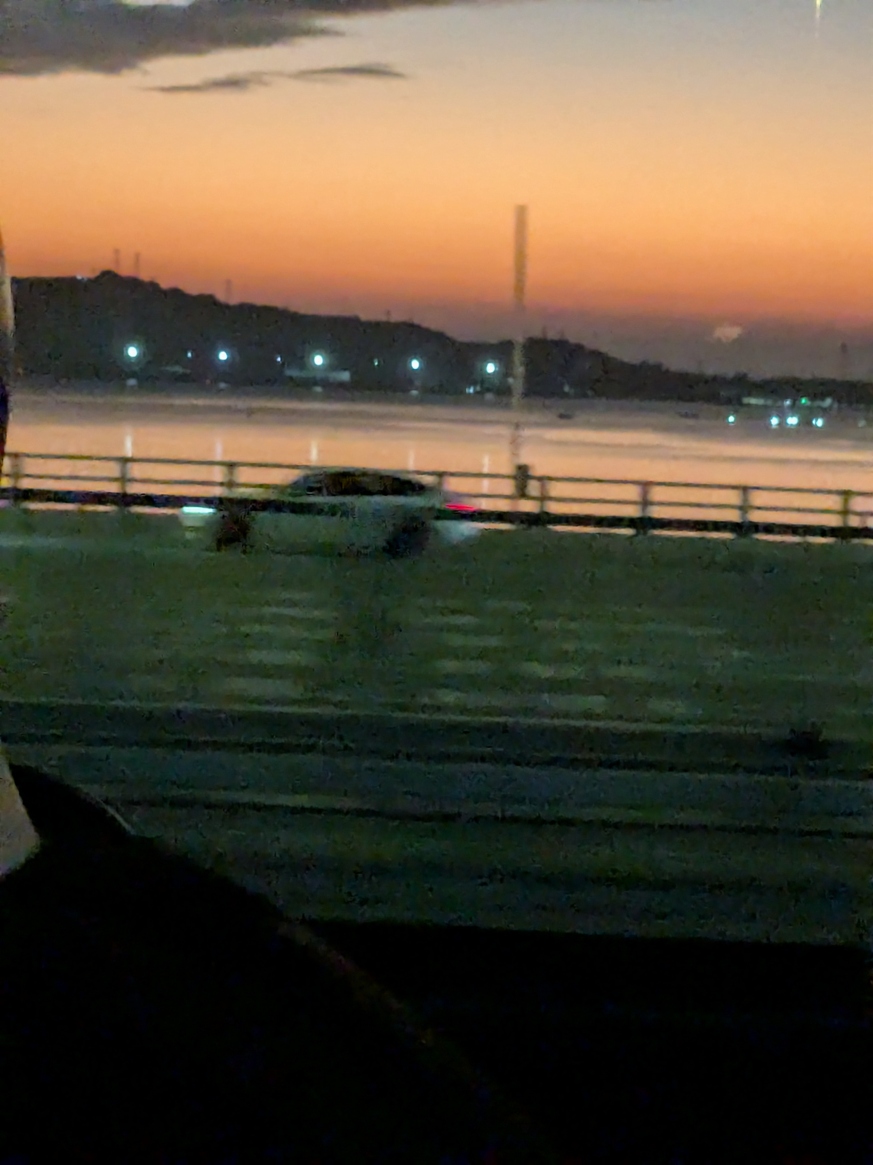 順徳へ美味い飯を食べに行く　その2　水仙头私房菜