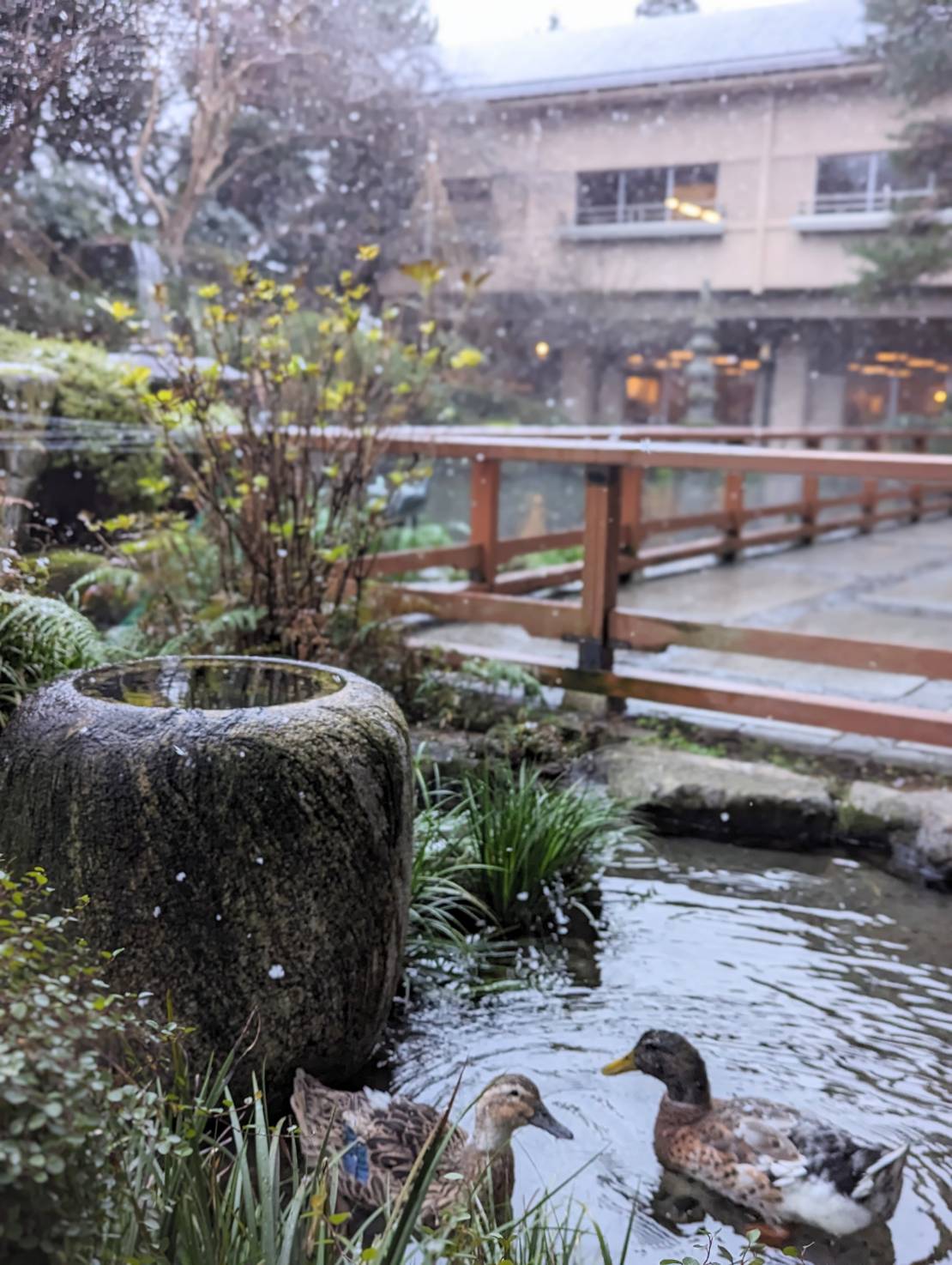 今年も一年ありがとうございました。