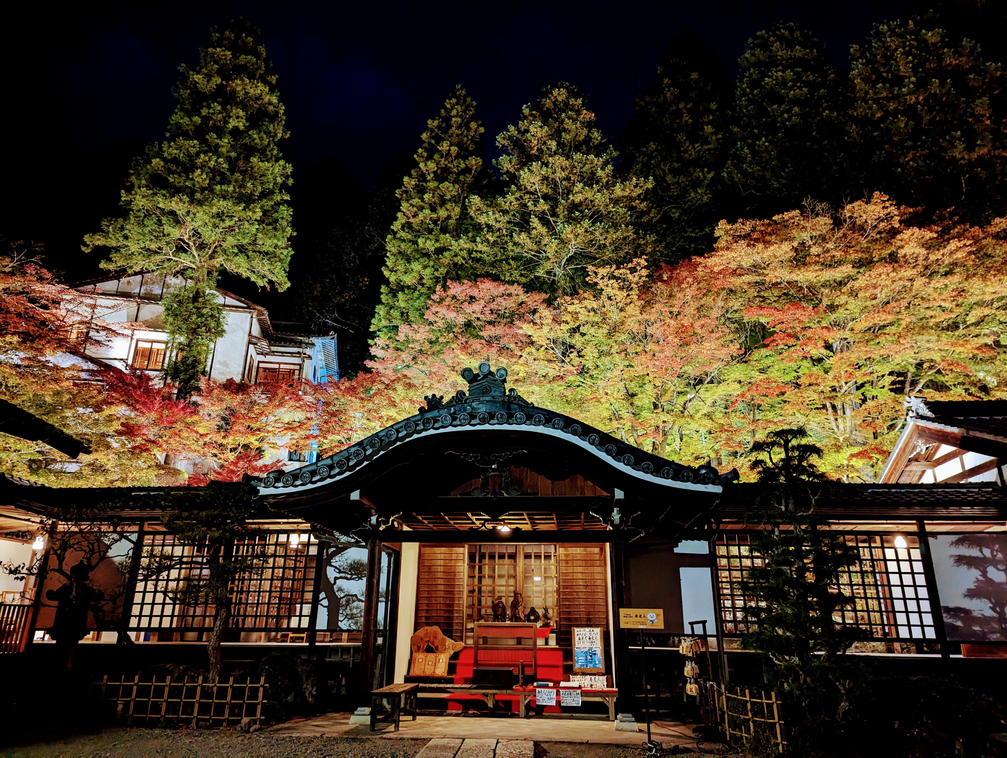 紅葉が綺麗です🍁