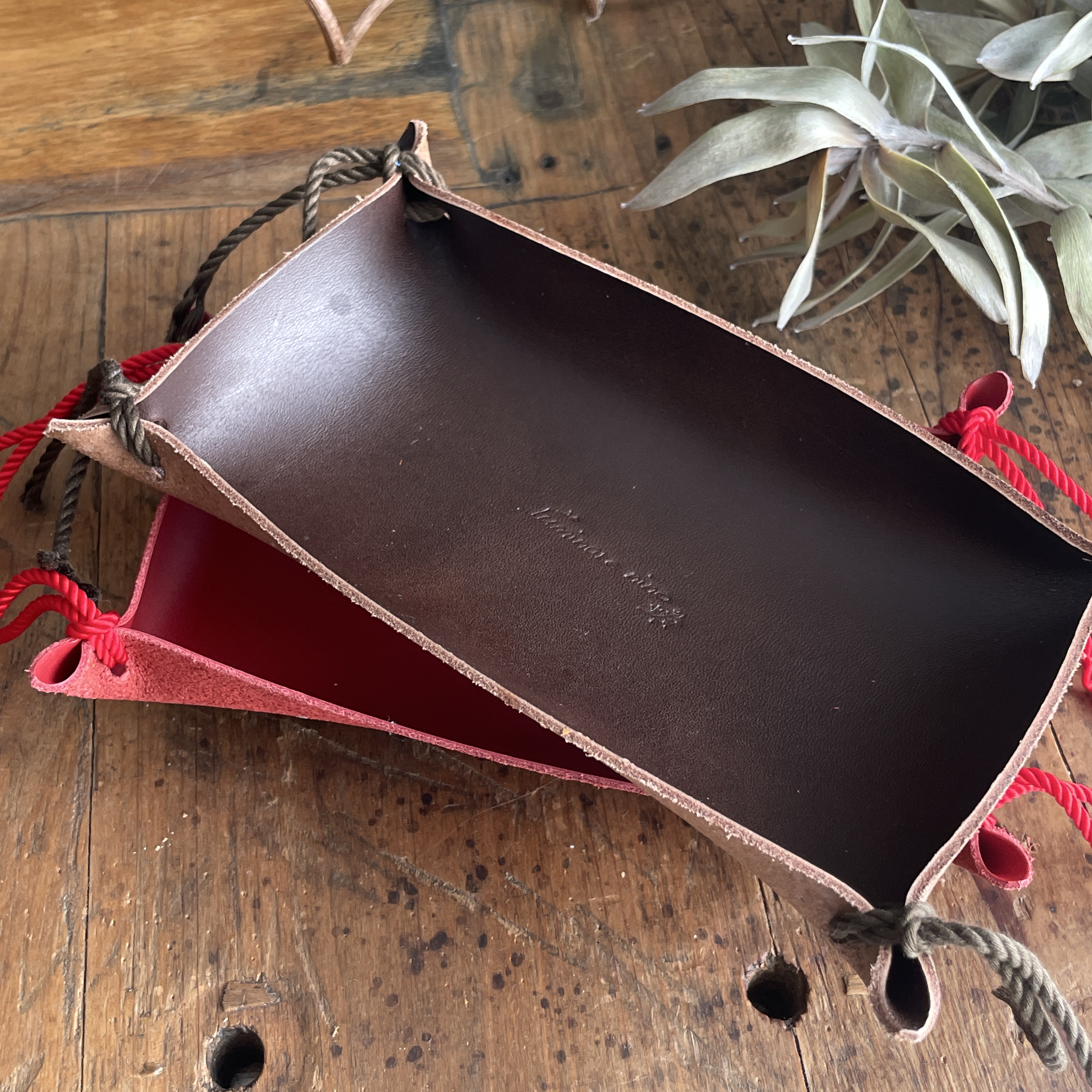 2025 Specialノベルティ プレゼント!