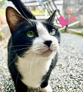 もう終わっちゃいます