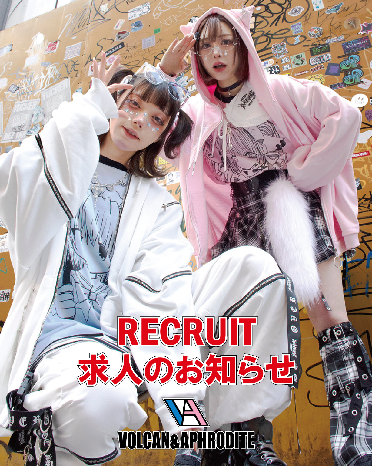 【求人情報】VOLCAN&APHRODITE(2025年6月最新)