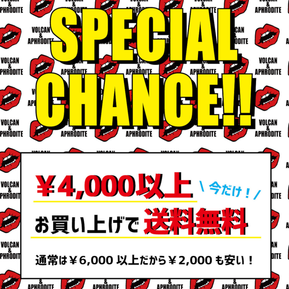 【今だけ￥4,000で送料無料❗】通常より￥2,000も安い❗期間延長⏰